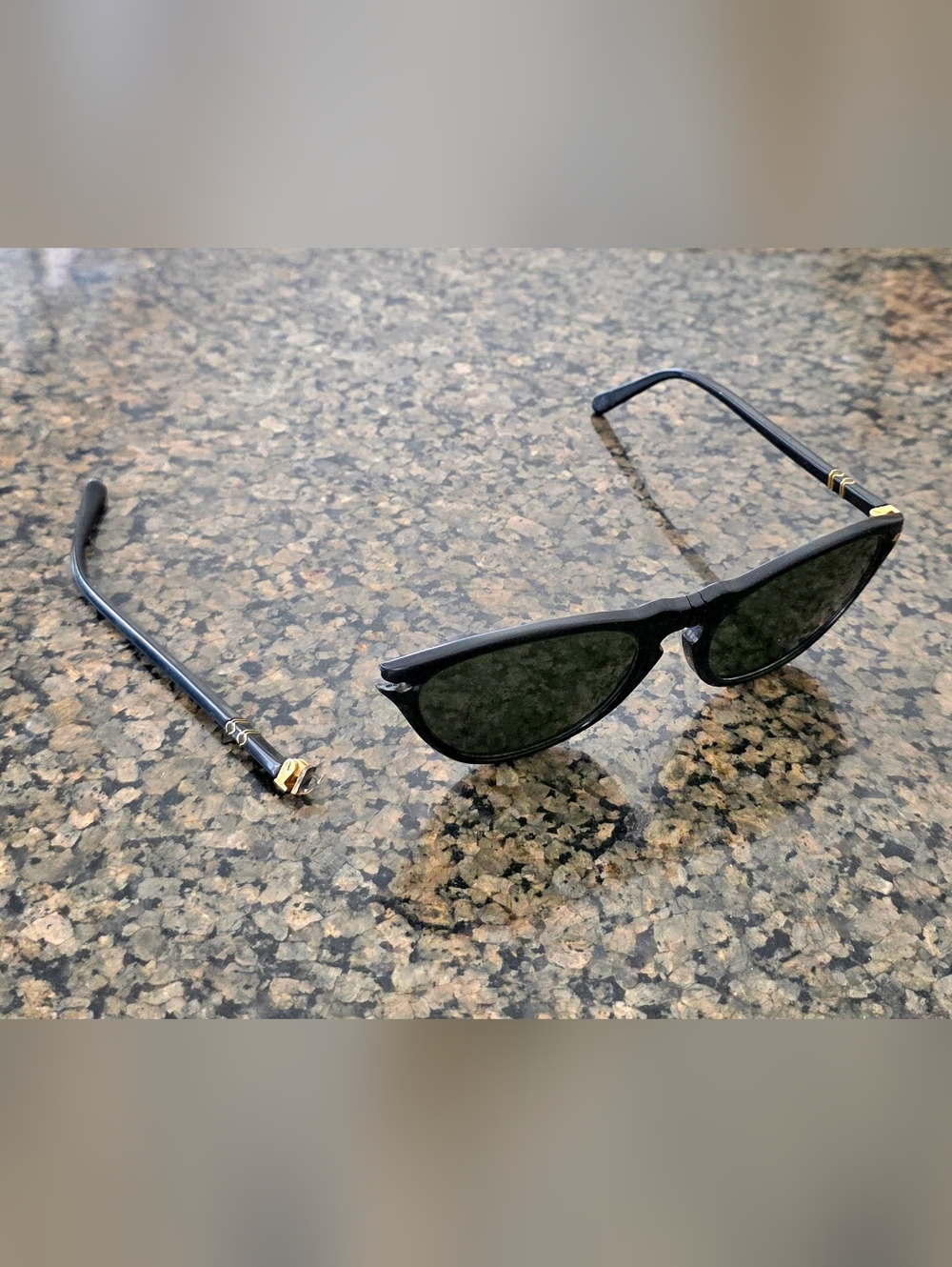 Polo by Ralph Lauren Black Frame Sunglasses with Gold Accents